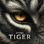 Eye of the tiger
