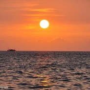 半生风雨寄舟中