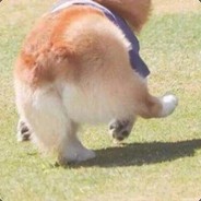 老子不管老子最帅