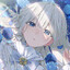 Avatar of amagi