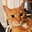 Bass ^ 77