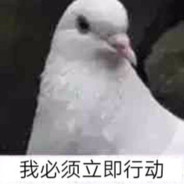 迅哥