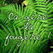 Fougere