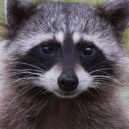 ДоБРыЙ_ЕНоТиК +_-