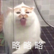 湾仔霸主火炮牧师