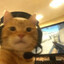 jeff counter strike.