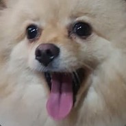 The True Itchy Balls, Beringen