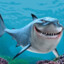 Shark！