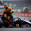 Yogi_RaketometVerstappen