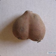 левое яйцо Олега