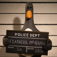 Feathers McGraw