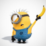 -DIS avatar