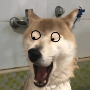 我们的道路再次相交