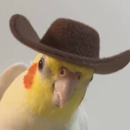 好累好困想睡觉