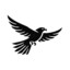 Falcon