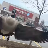 milking the thugs 🍼🍼