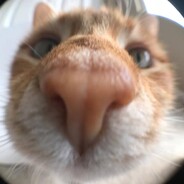 Kqnfetka