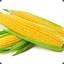 ❥Corn