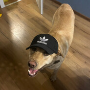 avtar6rs - steam id 76561199062813660