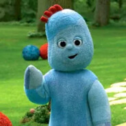 花园宝宝大王(cs2版)