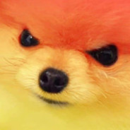 在路易莎的沙发路易发