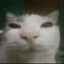 Avatar of player dasistganba