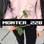 monter_228