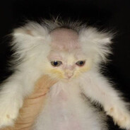 unemployment final boss