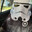 Noah