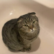 барни с говном