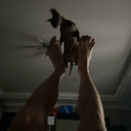 ZipCl0ud - steam id 76561199466843577