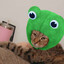 meow