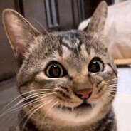 ः - steam id 76561199806888979