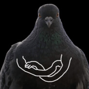 pigeon