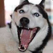 skyA