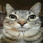 pechka avatarı