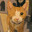 One Eyed Kat