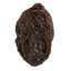 literally just a raisin