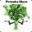 PetruhaShow