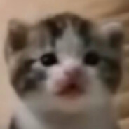 电脑玩家小璇