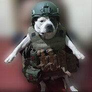 Аватар BULBA