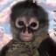 Sicario Monke