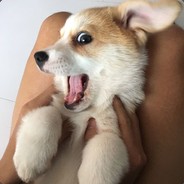 小鸡子露出黑脚了吧！