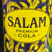SALAM Steam avatar