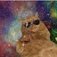 Cosmic Cat