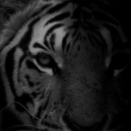 N1ce ツ avatar