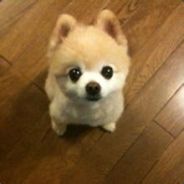 ♡邢♥锦♡佳♥