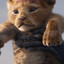 ♥♥♥Simba♥♥♥ SKINS