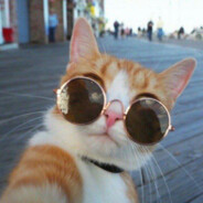 Мигель Коуч