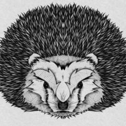 Hedgehog